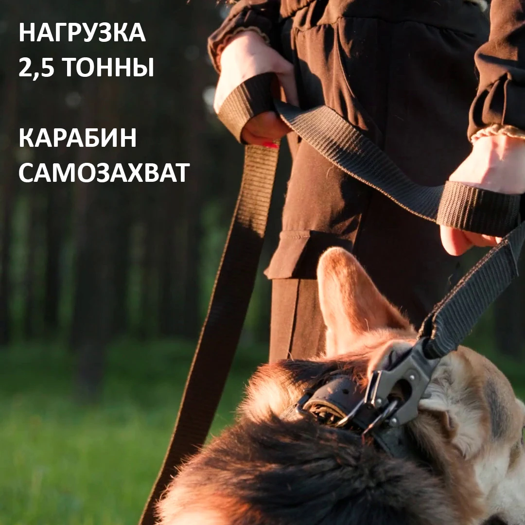 Professional leash for Dogs series &quotA" with carabiner-self-gripper | Дом и сад