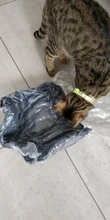 Camas redondas para gatos, casa de felpa suave y larga, La mejor cama de perro para canasta para perros, productos para mascotas, cojín, cama para gato, esterilla para animales, sofá para dormir