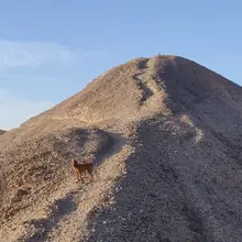 M***l