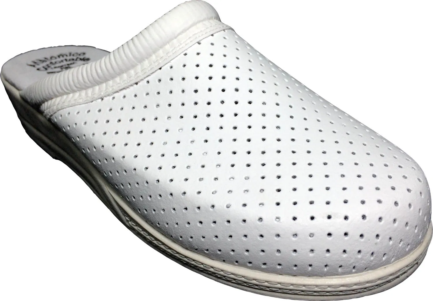 Zueco sanitario de piel en color blanco para mujer, Calzado Trabajo