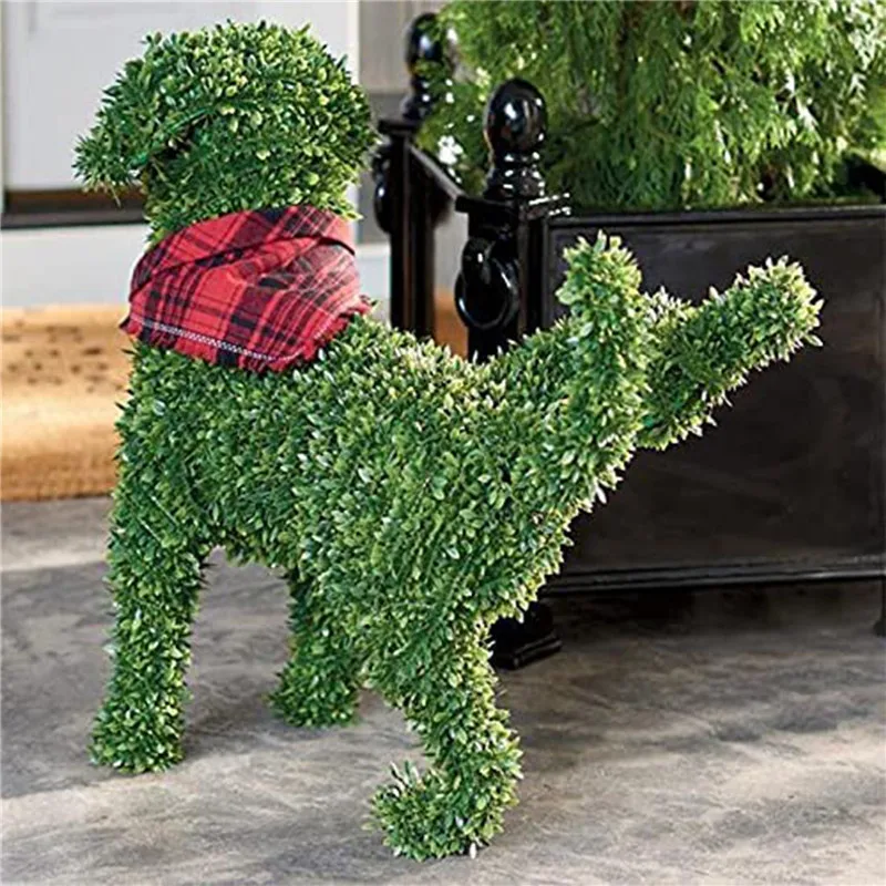 How To Keep Dogs From Peeing On Boxwoods