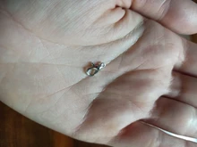 YuenZ-ganchos de broche de langosta de aleación chapados en 8 colores, 40 Uds., para collar y pulsera, cadena, accesorios de joyería DIY V107