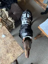 Jacket Rain-Coat Labrador Alaska Puppy-Doberman Waterproof Dogs Large Medium Husky TLC02