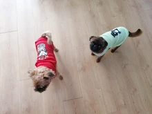 Ropa de verano para mascotas, Camiseta con estampado de flamenco para perro, chaleco para perros pequeños y medianos, accesorios para mascotas, chaleco para gatos, camisas, XS-2XL