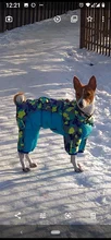 Winter Pet Dog Coat Jacket Thicken Warm Clothes For Dogs Waterproof Reflective Puppy