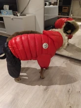 Ropa de invierno para mascotas, chaqueta cálida gruesa para perros pequeños y grandes, abrigo impermeable para cachorros, Chihuahua, Pug, Bulldog francés