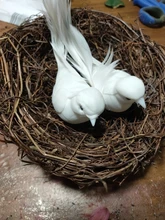 Nest Bird-Cage Prop-Bird Photography-Props Vintage-Decoration Optical-Store Creative