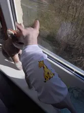 Ropa de perro para perros pequeños estampado bonito verano mascotas camiseta perro ropa chaleco para gatos mascota de algodón de T camisa Pug ropa trajes