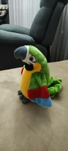 Peluche de loro parlante eléctrico para niños, juguete de peluche de pájaro parlante con alas que se repiten, regalo para niños