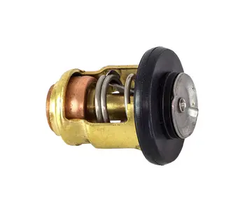 

Thermostat Yamaha 9.9-250 50C, OMAX 6e51241130 _ om