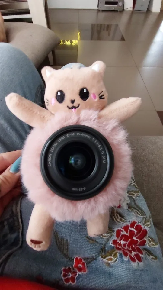 Bande de cheveux d'animal en peluche Kawaii