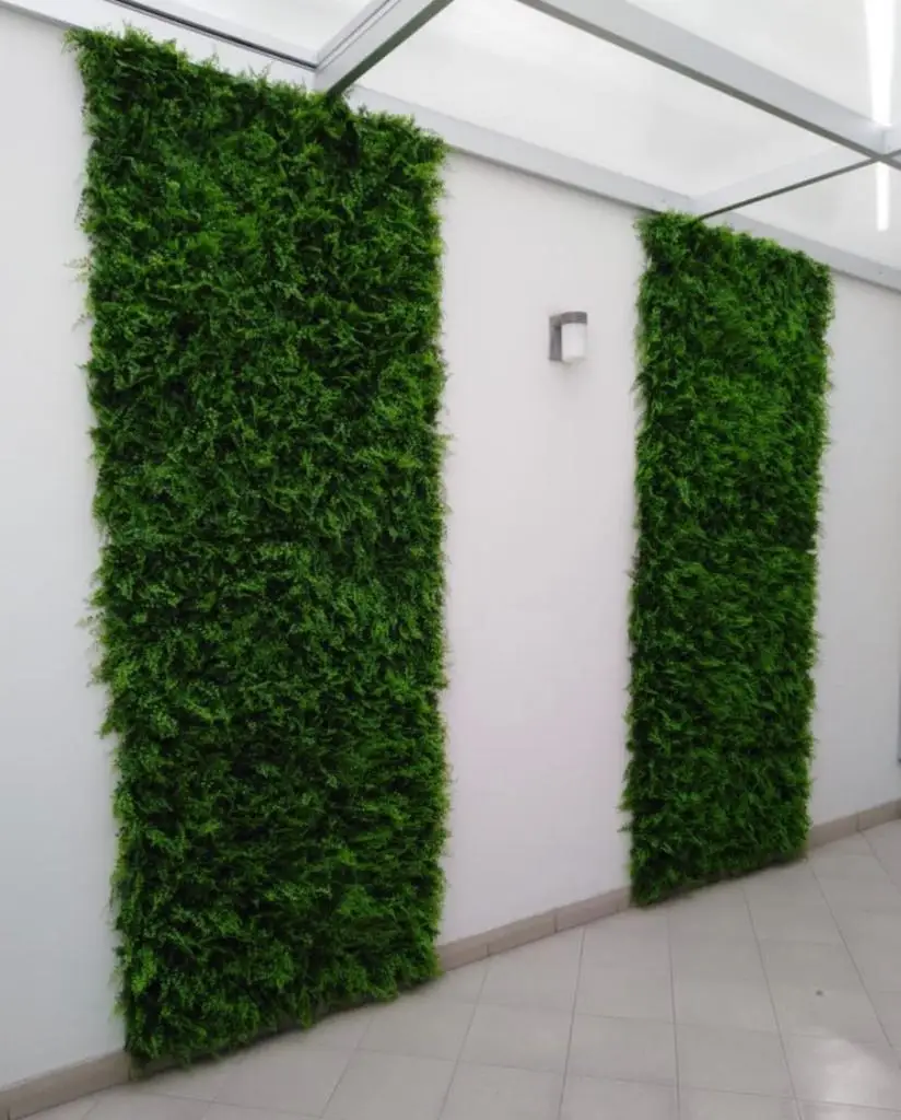 Planta para Jardim Externo: A Escolha Prática e Realista para Quem Quer  Beleza Sem Manutenção, image size:824x1024