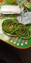 Tubo de látex Natural para exteriores, banda elástica de reemplazo de catapultas, Honda de goma, 5mm x 5/10m, envío gratis
