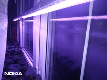 LED Grow Light 220V Full Spectrum LED Bar Lamp for Plants High Luminous Efficiency 8W