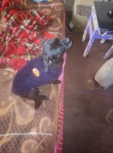 Dog Clothing Jacket Pullover French Bulldog Fleece Shirt Pet-Coat Puppy Camouflage Warm