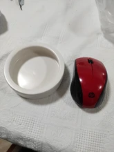 Cerámica comedero de reptiles agua plato de comida de alimentación tazón tortuga serpiente, lagarto cuenca