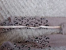 Medias de algodón con estampado de leopardo para niña y niño, medias para niña pequeña, ropa interior para chico 2020