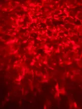 Projection-Lamp Night-Light Music-Speaker Remote-Control Romantic Ocean-Wave Starry Sky