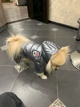 Ropa de invierno para perros pequeños, abrigo cálido para cachorros, chaqueta impermeable con capucha, monos para Chihuahua y Yorkie