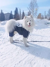 Jacket Rain-Coat Labrador Alaska Puppy-Doberman Waterproof Dogs Large Medium Husky TLC02