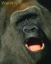 De moda Triskel Triskelion colgantes y collares para mujeres Acero inoxidable Allison Argent Teen Wolf collares para hombre, joyería de regalo