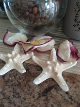 Decor-Plants Landscaping-Decor Tank Aquarium Plastic Resin Coral Fishing-Fis Sea-Iron-Tree