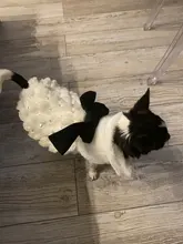 Cat Overcoat HOOPET Small Dog Elegant Chihuahua Winter Luxury Fur Bowknot