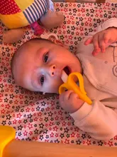 Mordedor de silicona para bebés, cepillos dentales de entrenamiento sin BPA, seguro, anillo de dentición, juguetes para niños, regalo de masticación al por mayor