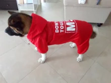 Jacket Rain-Coat Labrador Alaska Puppy-Doberman Waterproof Dogs Large Medium Husky TLC02