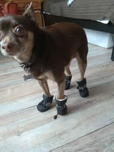 4 unidades/juego de zapatos de lluvia antideslizantes de Cachemira suave y cálida para mascotas, calzado suave a prueba de viento para perros y mascotas, zapatos impermeables antideslizantes