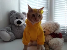 Seguridad ropa para gato mascotas abrigos para gato chaqueta sudaderas con capucha para los gatos traje cálido ropa para mascotas ropa de conejo Animales Mascotas traje para perros 30