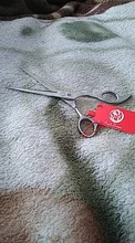 Hairdressing Scissors Barber Shears Jp-Stainless Z1006 5-6-7-8-