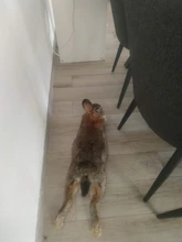 Diadema de lazo grande para recién nacido, tocado para niños, cinta para el pelo de lazo, diadema elástica, lazo para el pelo para niña pequeña, turbante