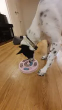 Toys Feeder Food-Intelligence-Toy Puppy Slow-Dispensing Dog-Puzzle Training-Games Interactive
