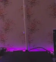 Light Led-Lighting-Lamp Phone-App-Control Party Bluetooth 5050/2835 USB for TV