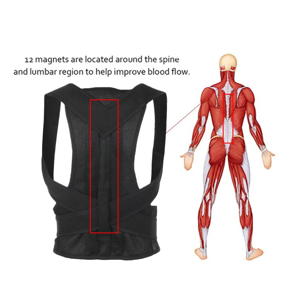 473554_67ef3a95a7744540b434681172a4f1d8