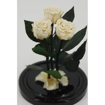 

Rose in flask trio mini White 22*12,5*4 cm