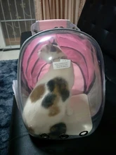 Bolsa de viaje portátil para gatos y perros, cápsula espacial transpirable de alta calidad, portador transparente desechable, mochila para mascotas