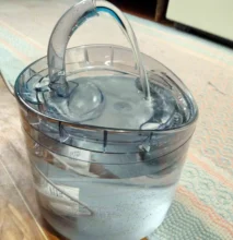 Cat-Water-Fountain Faucet Drinker Pet-Sensor TRANSPARENT-FILTER Dog-Water-Dispenser Downypaws