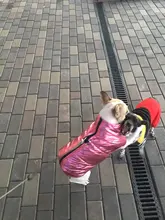 Coat Jacket Vest Bulldog-Clothing Puppy Dogs-Chihuahua French Waterproof Large Winter