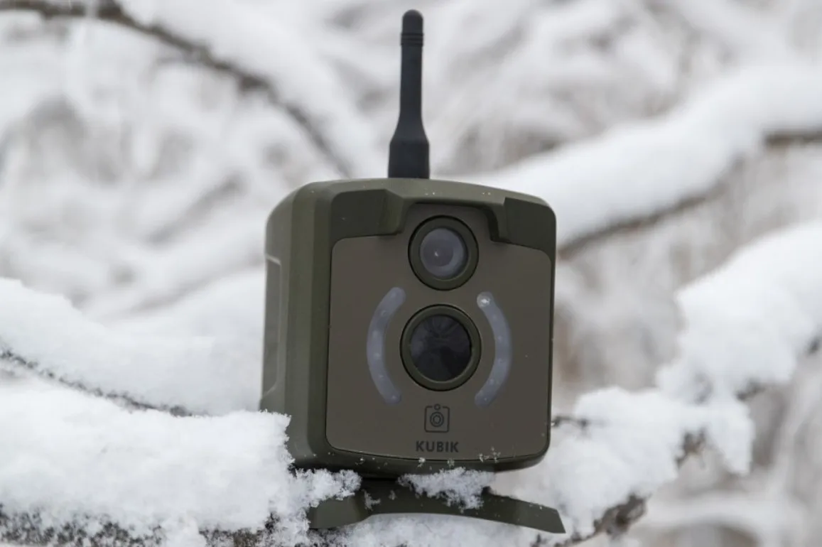 GSM фотоловушка KUBIK зеленый (2G Bluetooth)|Камеры для охоты| |