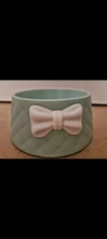 Dish Food-Bowls Feeder Dogs-Supplies Bowel Puppy-Shock-Proof Lovely Prevent Bowknot-Decor