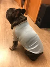 Ropa de perro de moda ropa de invierno para perros pequeños perros mediano chaqueta de abrigo Chihuahua ropa para mascotas para pequeño mediano perros Carlino