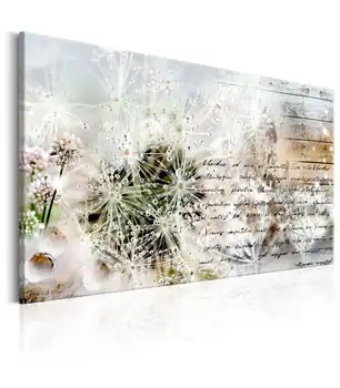 

Picture-Starry Dandelions