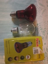 Lámpara de calefacción para mascotas, emisor de vidrio, Bombilla de calor, lámpara para reptiles, anfibios, 60W, 75W, 100w