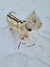 Ropa para perros grandes, chaleco impermeable para perros grandes, chaqueta de otoño e invierno, abrigo para perros cálidos, ropa para perros, Chihuahua Labrador S-7XL