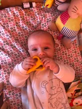 Mordedor de silicona para bebés, cepillos dentales de entrenamiento sin BPA, seguro, anillo de dentición, juguetes para niños, regalo de masticación al por mayor