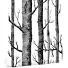 Birch Tree Peel And Stick Wallpaper Self Adhesive Black And White Wood Stick Wallpaper For Study Background Wall Home Decortion ► Photo 2/6