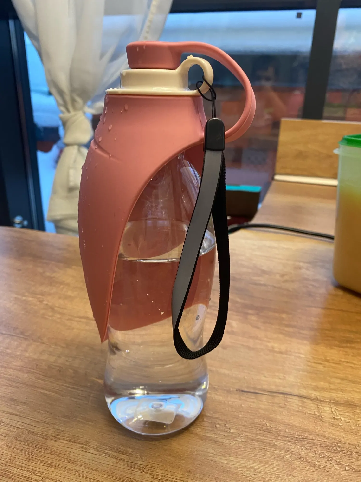 Leaf Design Dog Water Bottle photo review