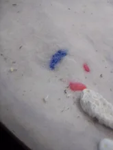 10g de planta de acuario acuáticos hierba de agua decoración para peces tanque fácil creciente césped musgo adornos de jardín hogar paisaje suministros